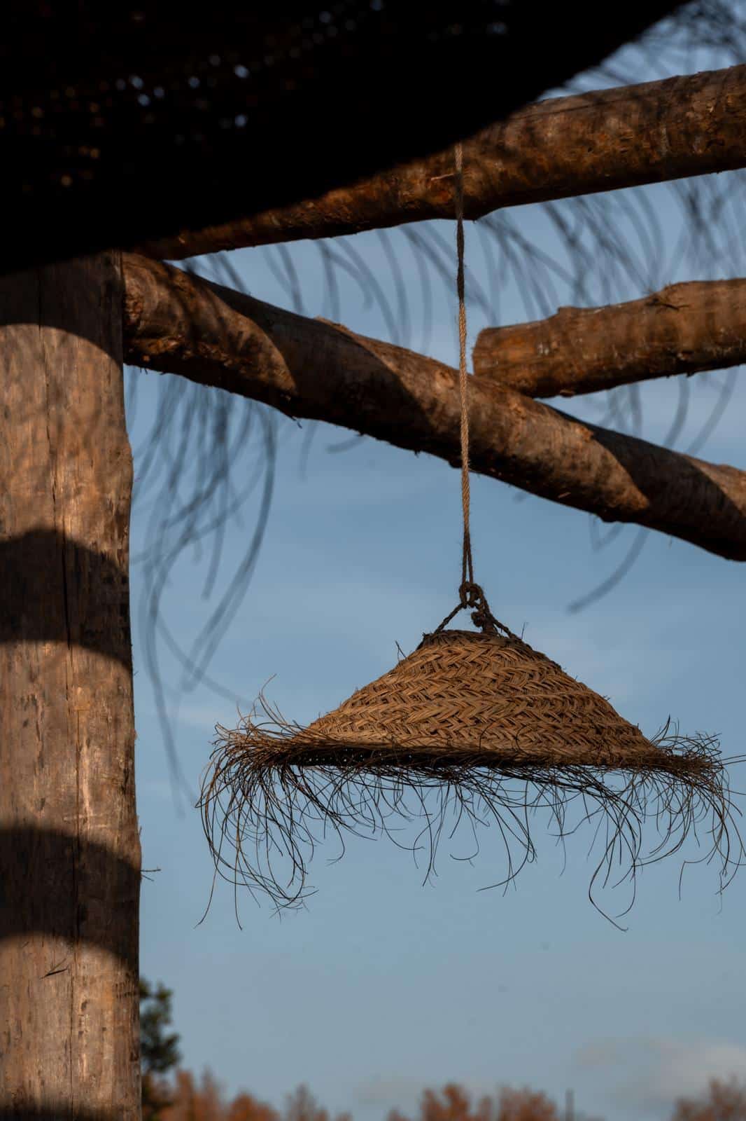 WhatsApp Image 2026 01 12 at 12.49.01 19